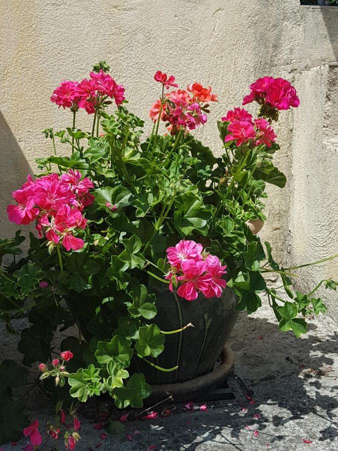 Le Clos Des Colverts Campagne-sur-Aude Exterior foto